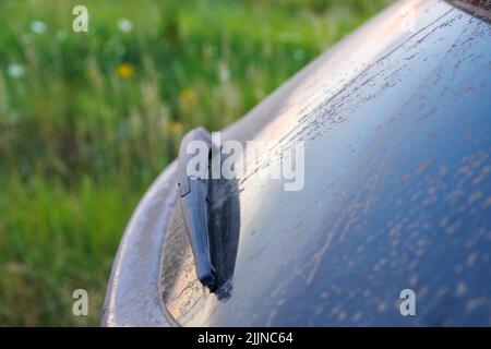 Vetro sporco per auto con tergicristallo e terza luce di stop, lunotto coperto da uno strato di polvere. Foto Stock
