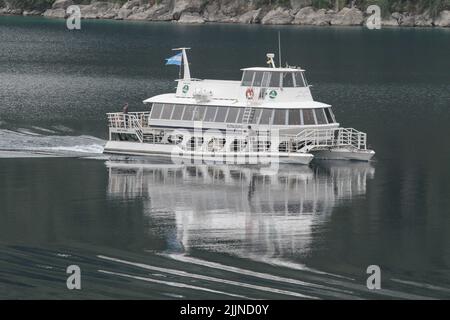 La foresta di Arrayanes nel Lake District dell'Argentina Foto Stock