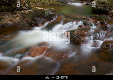 Il romantico fiume Ilse nei pressi di Ilsenburg ai piedi del Brocken nel Parco Nazionale Harz in Germania Foto Stock