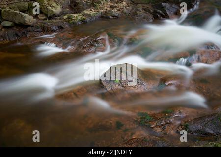Il romantico fiume Ilse nei pressi di Ilsenburg ai piedi del Brocken nel Parco Nazionale Harz in Germania Foto Stock