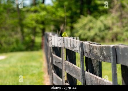 Un primo colpo di recinto di legno vecchio in un ranch Foto Stock