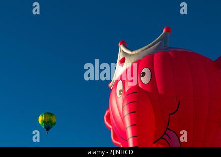 Ascensione mattutina per il rodeo Special Shapes, Albuquerque International Balloon Fiesta, New Mexico Foto Stock