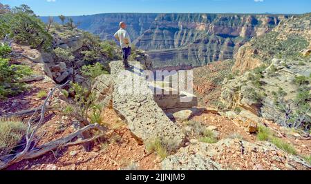 Uomo in piedi su una lastra di roccia guardando la vista a est di Shoshone Point, Grand Canyon National Park, Arizona, Stati Uniti Foto Stock