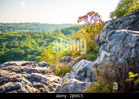 Il famoso parco selvaggio Divoka Sarka a Praga città nel tramonto in estate, Repubblica Ceca Foto Stock