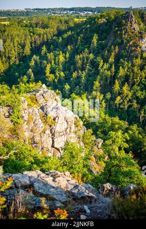 Il famoso parco selvaggio Divoka Sarka a Praga città nel tramonto in estate, Repubblica Ceca Foto Stock