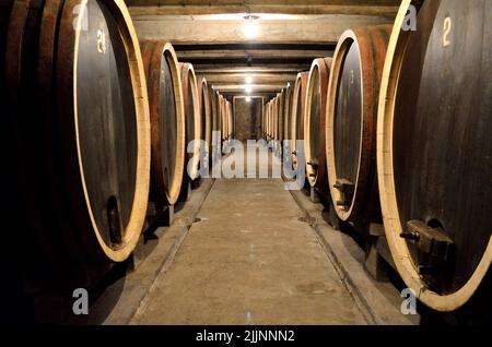 Una foto prospettica di botti di vino in fila alla volta del vino. Foto Stock