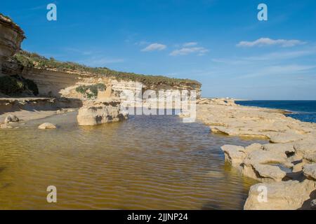 Piattaforma di roccia calcarea tagliata a onda lungo la costa di Delimara, Malta, che mostra le prove di intemperie costiere e erosione e recessione scogliera. Isola Maltese Foto Stock