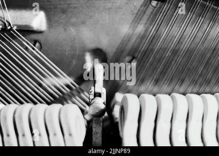 Interno di pianoforte con corde, martello, vite di fermo Foto Stock