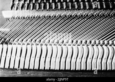 Interni di pianoforte, martelli e archi Foto Stock