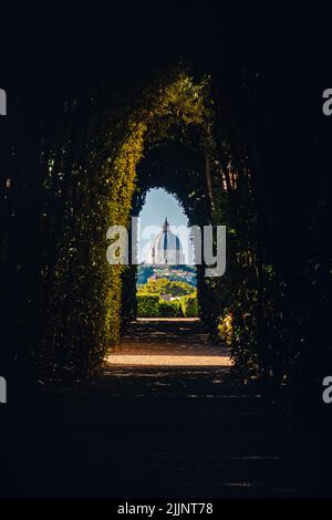 una foto della vecchia cattedrale contro il tunnel verde del cespuglio Foto Stock