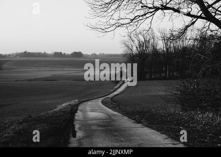 Un'immagine in scala di grigi di una strada sterrata nel mezzo di campi agricoli a GLABAIS, Belgio Foto Stock