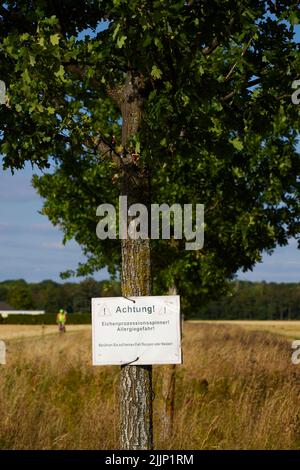 Segnale di avvertimento in lettere tedesche che mostra di essere cauti a causa di falde processionarie di quercia Foto Stock