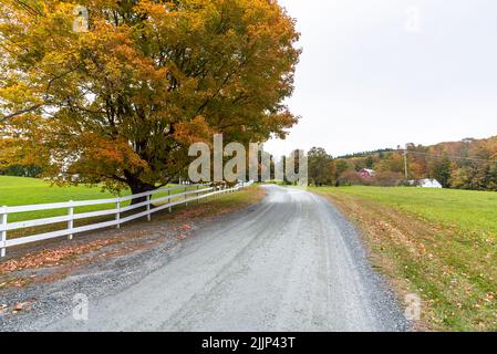 Recinzione bianca in legno lungo una strada deserta non fatta che attraversa la campagna del Vermont in una nuvolosa giornata autunnale Foto Stock