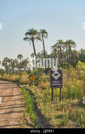 31 dicembre 2021, Parco Nazionale El Palmar, Entre Rios, Argentina: Strada sterrata e segnaletica con il disegno di un capybara e il testo Rallenta. Fauna selvatica cr Foto Stock