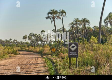 31 dicembre 2021, Parco Nazionale El Palmar, Entre Rios, Argentina: Strada sterrata e segnaletica con il disegno di un capybara e il testo Rallenta. Fauna selvatica cr Foto Stock