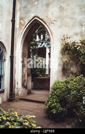 Natura che assume St. Dunstan in Oriente, chiesa abbandonata, rovine a Londra, Inghilterra, Regno Unito Foto Stock