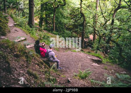 Persone che siedono sulla panchina a Padley Gorge, foresta nel Peak District National Park, Inghilterra, Regno Unito Foto Stock