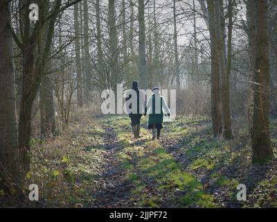 Una vista posteriore della coppia che tiene le mani e che cammina attraverso la strada erbosa circondata da alberi Foto Stock