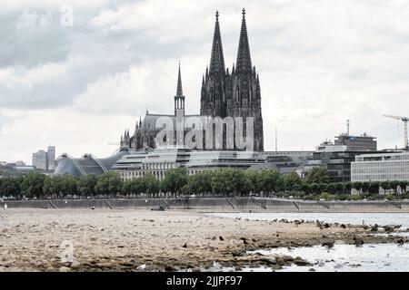 Colonia, Germania 27 luglio 2022: Basso livello dell'acqua sul reno a colonia Foto Stock