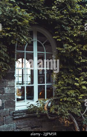 Un'immagine verticale di una finestra d'epoca circondata da arbusti nel giardino storico di Wentworth. Foto Stock