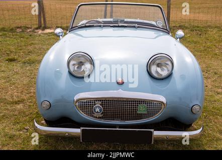 Una classica rana spruzzata in Appledore Kent UK Foto Stock