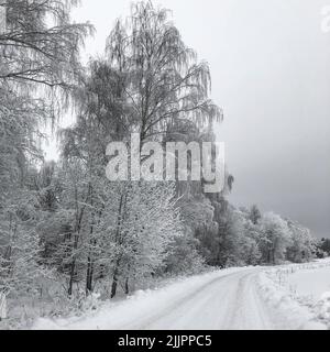 Una splendida vista su una strada coperta di neve in campagna con alberi bianchi accanto sotto un cielo invernale cupo Foto Stock