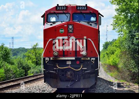 Bartlett, Illinois, Stati Uniti. Locomotive Canadian National Railway, fronteggiate da un'unità appositamente dipinta in onore dei veterani, in attesa di un equipaggio. Foto Stock