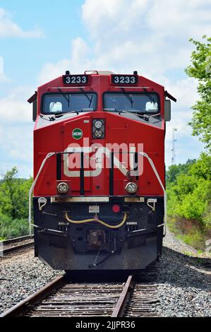 Bartlett, Illinois, Stati Uniti. Locomotive Canadian National Railway, fronteggiate da un'unità appositamente dipinta in onore dei veterani, in attesa di un equipaggio. Foto Stock