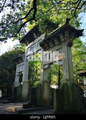 Un colpo laterale di vecchie porte tradizionali cinesi sotto rami di alberi Foto Stock