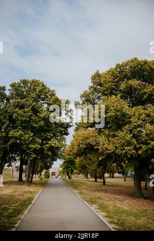 Un colpo verticale di un sentiero con alberi su entrambi i lati che conduce ad una vecchia architettura Foto Stock