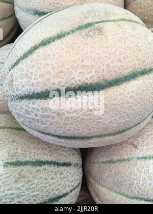 Primo piano di un melone di cantalupe fresco sul mercato degli agricoltori in California. Foto Stock