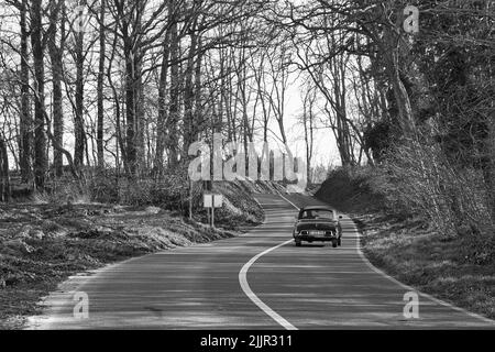 Una foto in scala di grigi di una vecchia auto d'epoca che percorre una strada stretta circondata da alberi senza fronzoli Foto Stock