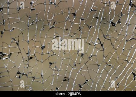 Le splendide linee nere e argentate di una finestra frantumata creano un motivo intricato nel vetro. Foto Stock