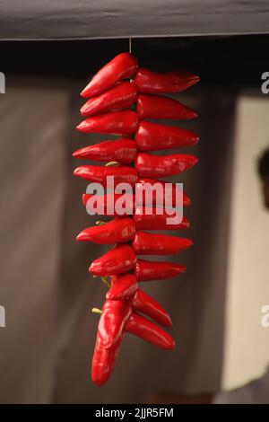 Un colpo verticale di peperoncino rosso caldo appeso su una corda su sfondo sfocato Foto Stock