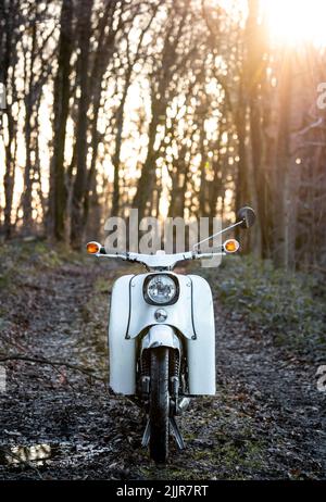 Un colpo verticale di una bici bianca parcheggiata su un sentiero in una foresta all'ora d'oro Foto Stock