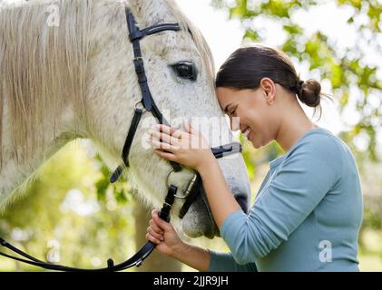 Ama trascorrere il tempo con il cavallo, una giovane donna attraente in piedi con il suo cavallo in una foresta. Foto Stock