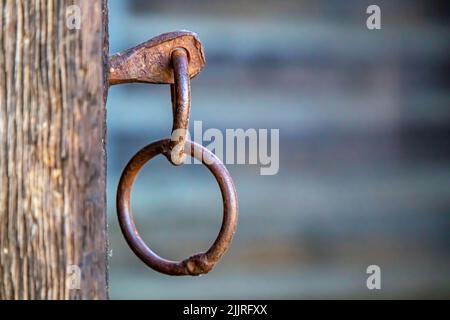 Un primo piano di due vecchi anelli porta arrugginiti appesi sulla porta di legno Foto Stock