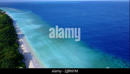 Una vista aerea di alberi verdi su una spiaggia sabbiosa vicino all'oceano in una giornata di sole Foto Stock