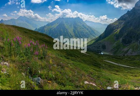 rosa pinke schmalblättrige Weidenröschen auf einer blumenübersäten Bergwiese am Schafberg, Gargellen, Montafon, mit herrlichem Blick über die Berge Foto Stock