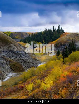 Un colpo verticale di paesaggio selvaggio bello nei colori autunnali Foto Stock