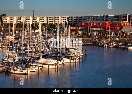 Burgtiefe Marina, Burgtiefe, Isola di Fehmarn, Schleswig-Holstein, Germania, Europa Foto Stock