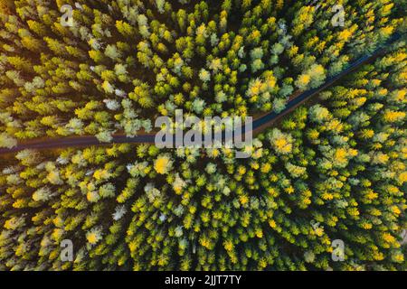 Una vista aerea dall'alto di un'autostrada circondata da verdi foreste di abete rosso Foto Stock