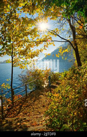 Un autunno sul lago Traunsee nel Salzkammergut - Austria superiore Foto Stock