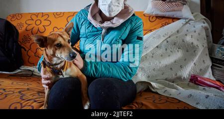 Un primo piano di un cane sulle gambe di una donna su un divano Foto Stock