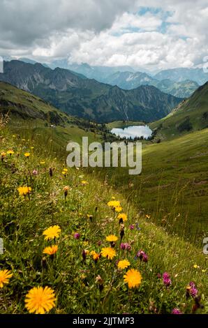 Una vista a distanza verticale del lago di Seealpsee tra le montagne alpine di Allgau, Oberstdorf, Svizzera Foto Stock