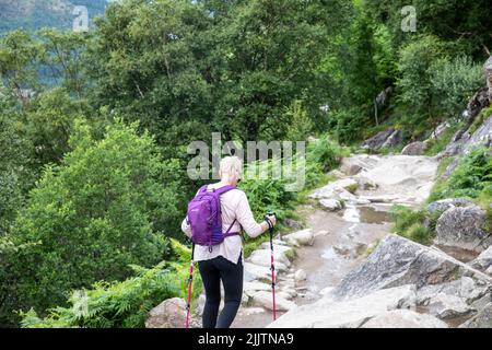 Ben Nevis Scotland Mountain Trail, escursionista femminile nei suoi anni cinquanta, modello rilasciato, clip lungo il percorso di montagna, Scozia, Regno Unito Foto Stock