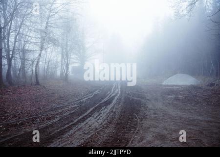 Il sentiero fangoso conduce attraverso una foresta di nebbia Foto Stock