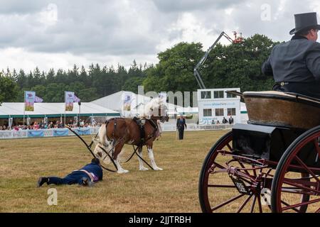 Due cavalli e cart subirono incidenti a causa di un albero rotto durante la New Forest e Hampshire County Show, 27th luglio, 2022, Inghilterra, Regno Unito Foto Stock