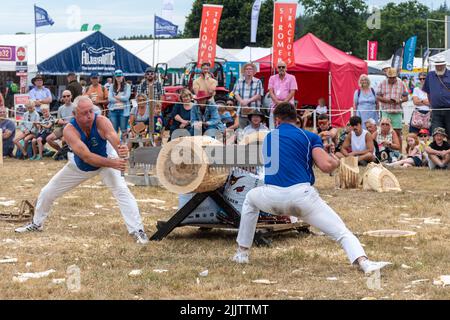 Due sawyers usando un due-uomo ha visto per tagliare un albero al New Forest e Hampshire County Show nel luglio 2022, Inghilterra, Regno Unito Foto Stock