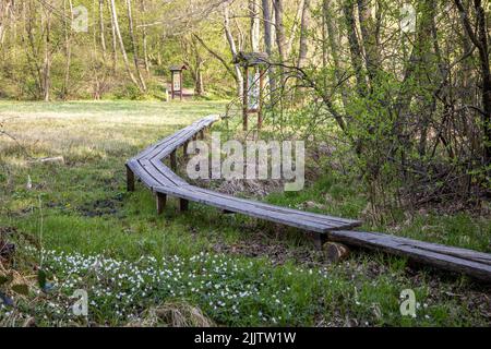 La passerella vuota che passa attraverso la foresta. Szoce, Ungheria. Foto Stock